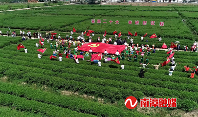 南漳實施“有機”戰(zhàn)略 以有機稻谷種植研發(fā)引領農業(yè)高質高效發(fā)展
